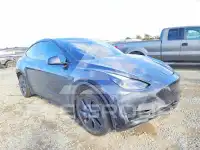 2024 Tesla Model Y photo