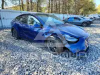 2024 Tesla Model Y photo
