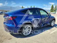 2024 Tesla Model Y photo