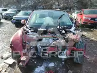 2024 Tesla Model 3 фото