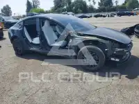 2024 Tesla Model 3 photo