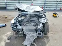 2024 Alfa Romeo Giulia photo