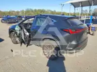2024 Lexus NX250 фото