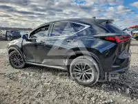 2024 Lexus NX250 фото
