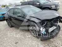 2024 Lexus UX250 фото