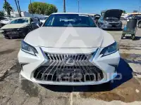 2024 Lexus ES300 фото