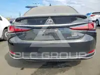 2024 Lexus ES300 фото