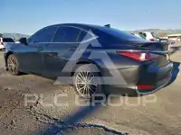 2024 Lexus ES300 photo