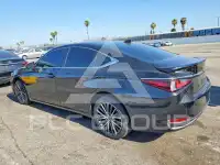 2024 Lexus ES300 фото