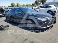 2024 Lexus ES300 фото