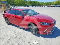 2024 Lexus ES300 фото