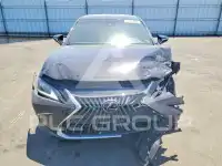 2024 Lexus ES300 фото