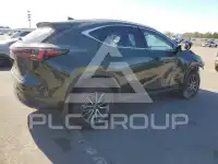 2024 Lexus NX photo