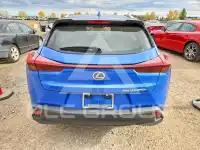 2024 Lexus Other фото