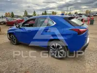 2024 Lexus Other фото