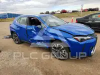 2024 Lexus Other фото