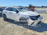 2024 Lexus RX300 photo