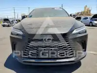2024 Lexus RX300 photo