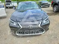 2024 Lexus ES350 фото