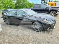 2024 Lexus ES350 фото
