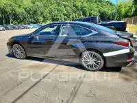 2024 Lexus ES350 фото