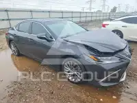 2024 Lexus ES350 photo