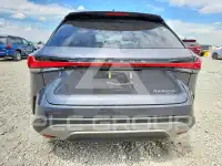 2024 Lexus RX330 фото