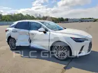2024 Lexus RX330 photo