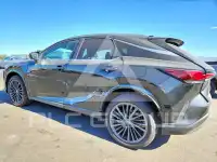 2024 Lexus RX350 фото