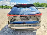 2024 Lexus RX350 фото