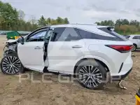2024 Lexus RX350 photo