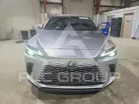 2024 Lexus RX350 photo