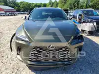2024 Lexus RX350 photo