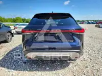2024 Lexus RX350 фото