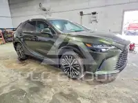 2024 Lexus  фото