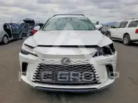 2024 Lexus  фото