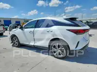 2024 Lexus  photo