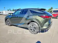 2024 Lexus  фото
