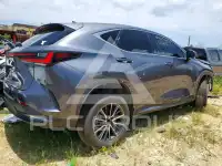 2024 Lexus  фото