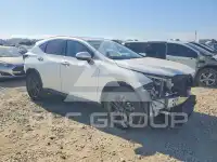 2024 Lexus NX photo