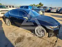 2024 Lexus IS фото