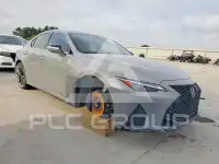 2024 Lexus IS photo