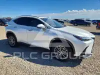 2024 Lexus NX фото