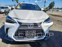 2024 Lexus NX фото