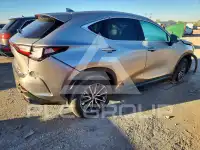 2024 Lexus NX photo