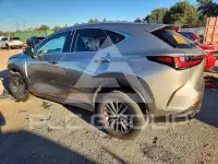 2024 Lexus NX photo