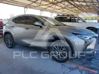 2024 Lexus NX фото