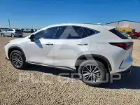 2024 Lexus NX фото
