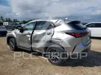 2024 Lexus NX фото