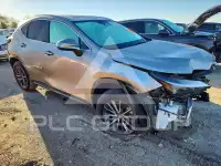 2024 Lexus NX photo